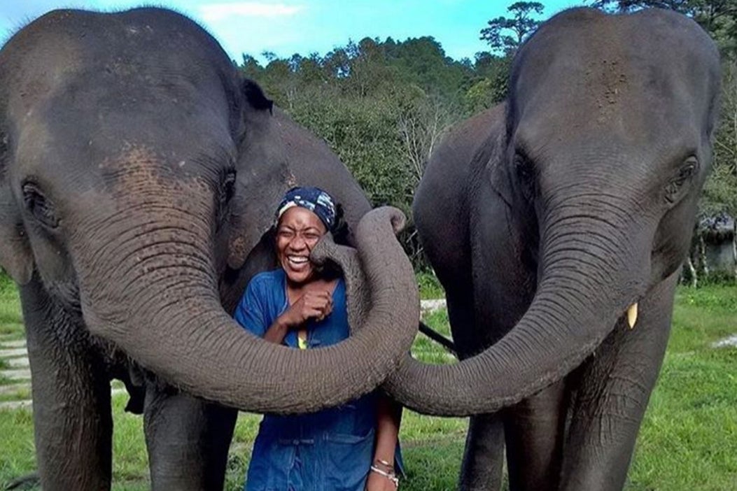 The 15 Best Black Travel Moments You Missed This Week: Sweet Elephant Kisses in Thailand
